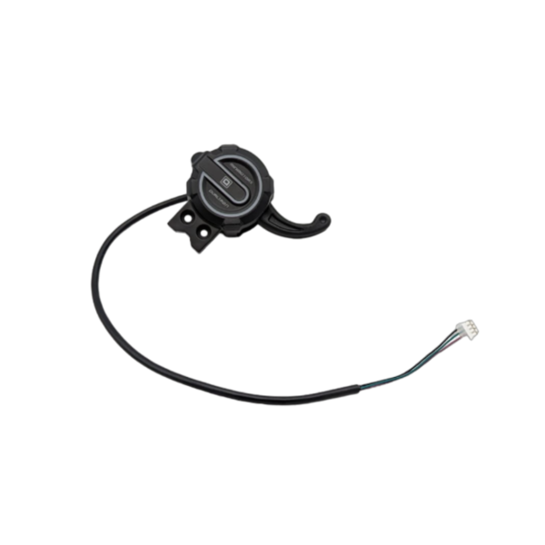 Levier D'accélérateur De Remplacement Pour Trottinette électrique Dualtron EY3 - Haute Qualité, Installation Facile